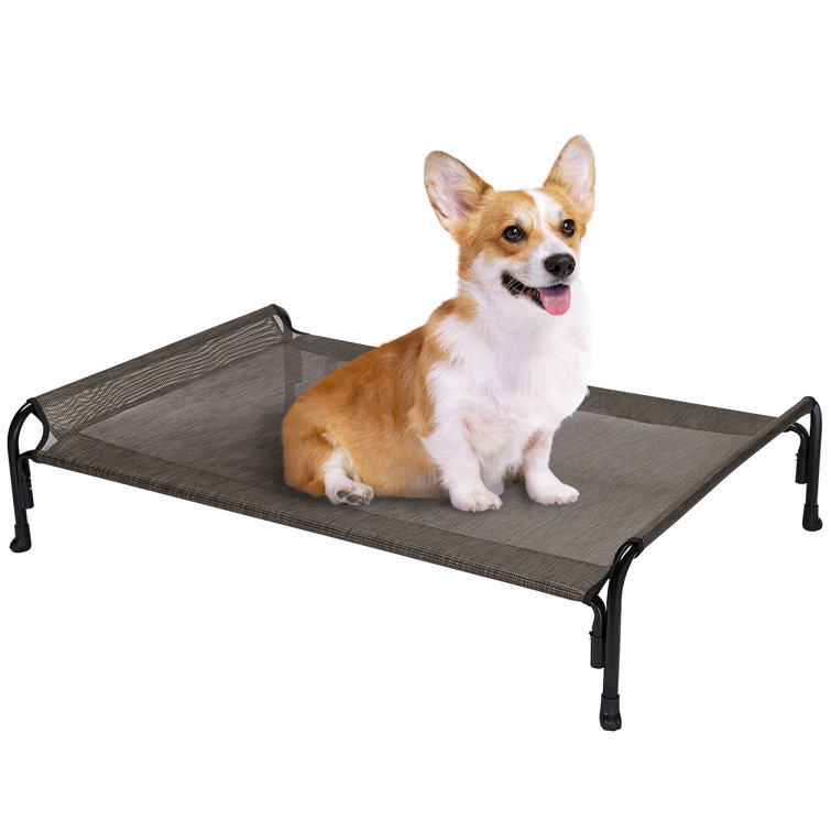 Kennel pad chew proof discount